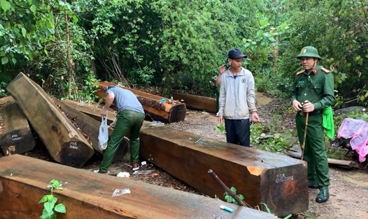 Hiện trường một vụ phá rừng ở huyện Krông Bông tỉnh Đắk Lắk. Ảnh: T.X