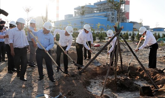 Lãnh đạo EVN, Tổng Công ty Phát điện 3 và huyện Tuy Phong tham gia trồng cây hưởng ứng Chương trình "Trồng mới và chăm sóc 1 tỉ cây xanh". Ảnh Tổng Công ty Phát điện 3 cung cấp.
