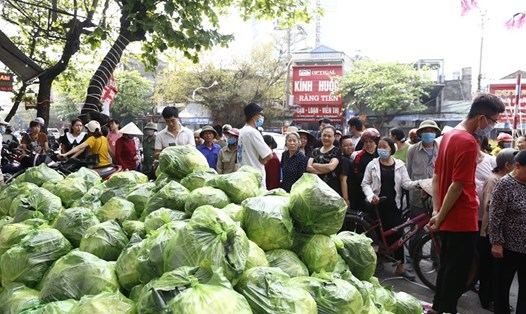 15 tấn cải bắp từ Hải Dương được chuyển về phát miễn phí cho người dân thành phố Nam Định. Ảnh HL