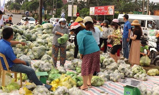 Người dân tỉnh Quảng Trị dừng mua ổi và bắp cải được đưa về từ tỉnh Hải Dương. Ảnh: Trúc Phương.