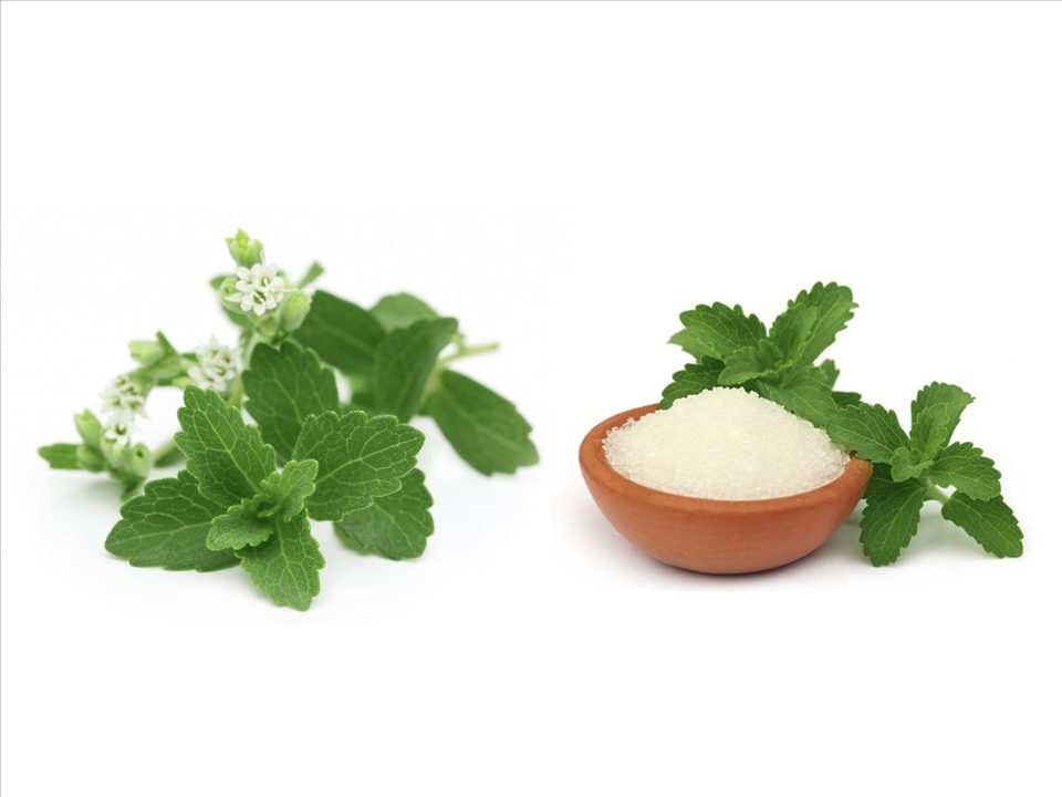 Đường cỏ ngọt có lợi cho người bệnh tiểu đường, giúp thỏa mãn cơn thèm ngọt, hạn chế được việc ăn uống đồ có đường khác. Đồ họa: Việt Trinh