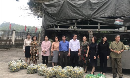 Cán bộ công đoàn huyện Quỳ Hợp (Nghệ An) chung tay giải cứu nông sản cho bà con. ảnh: QM