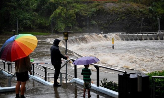 Người dân nhìn dòng sông Parramatta trong mưa lớn ở Sydney, Australia hôm 20.3. Ảnh: AFP.