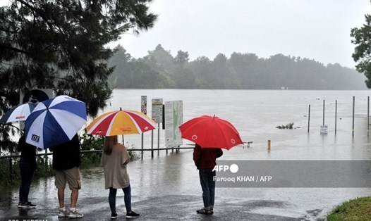 Mưa lớn kỷ lục khiến con sông Nepean ở phía tây thành phố Sydney bị tràn bờ, hàng loạt cư dân phải đi sơ tán. Ảnh: AFP