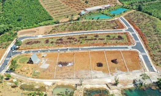 Phân lô bán nền trái phép đất nông nghiệp tại Bảo Lộc, Lâm Đồng xảy ra liên tục thời gian gần đây. Ảnh: Nhiệt Băng
