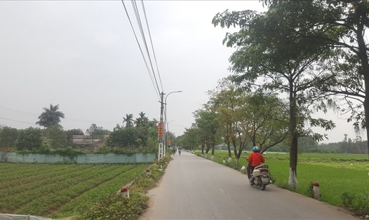 Toàn bộ phần đất của UBND xã Vĩnh Ngọc (Đông Anh, Hà Nội) và khu trường học đều nằm trong diện tích giải tỏa nhưng chưa thực hiện được. Ảnh: Lan Nhi