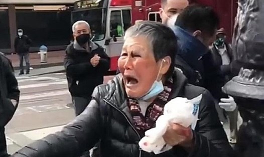 Cụ bà gốc Á 75 tuổi bị tấn công vô cớ hôm 17.3. Ảnh: Chụp màn hình