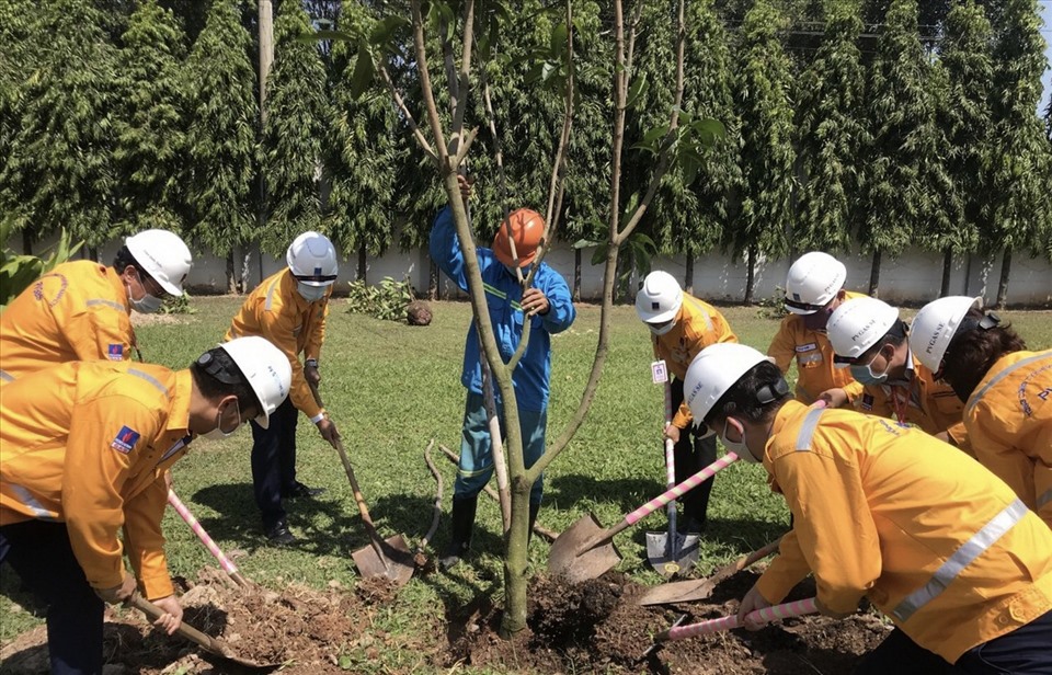 Cán bộ, đoàn viên PV GAS trồng cây làm xanh công trình, bảo vệ cảnh quan môi trường. Ảnh: PVG