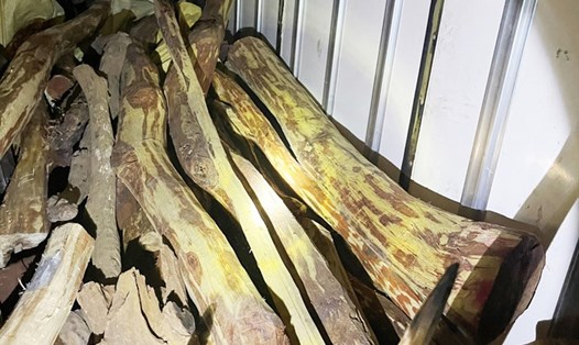 Gần 3 tấn gỗ trắc không rõ nguồn gốc bị CSGT Hà Tĩnh bắt giữ. Ảnh: CA.