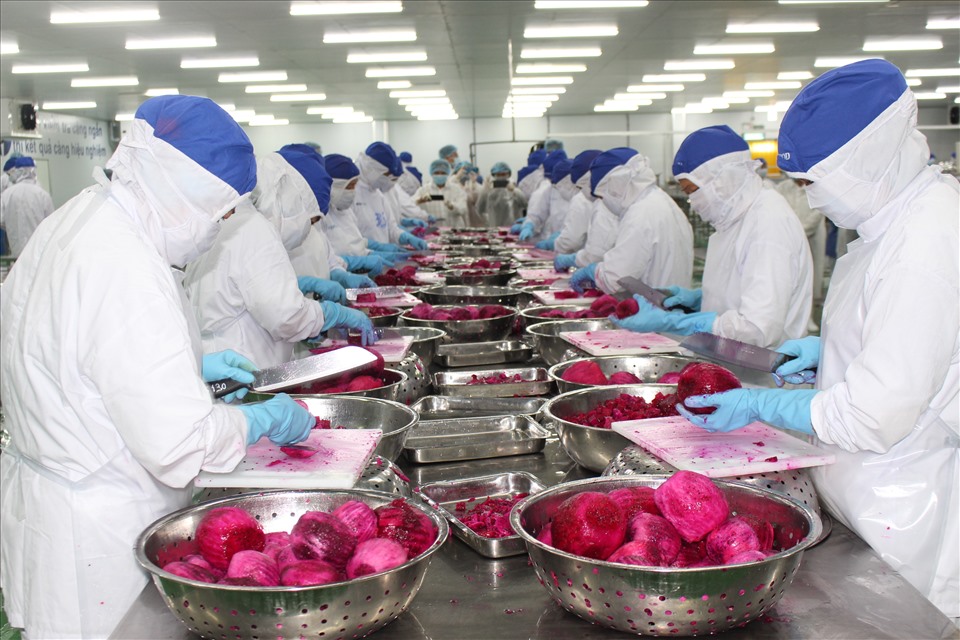 Sản xuất công nghiệp ở Long An phát triển ổn định sau Tết. Ảnh: K.Q