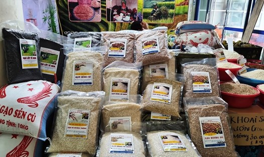 Giá gạo xuất khẩu của Việt Nam đã chạm mốc 522 USD/tấn, là mức giá cao nhất trong 10 năm gần đây. Ảnh: Vũ Long