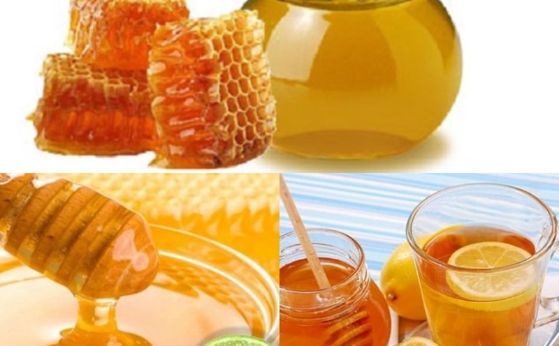 Mật ong rừng Tây Bắc ngâm với gì Mật ong rừng Tây Bắc ngâm với gì