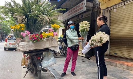 Với vẻ đẹp giản dị, thanh tao, độ bền lâu, giá lại phải chăng nên nhiều người dân Hà Nội đang tìm mua tiểu tú cầu và hoa gạo sữa về nhà trang trí.