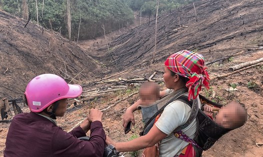 Ngày càng nhiều hecta rừng ở Điện Biên bị chính người dân đốt phá.