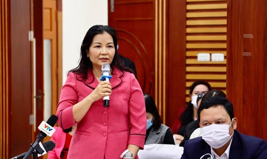 Bà Trần Thị Phương Lan – Quyền Giám đốc sở Công thương thông tin tại buổi họp báo. Ảnh: P.Đ
