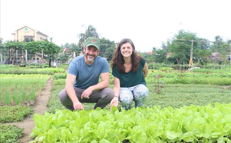 Ảnh minh họa. Nguồn Thanh Chung