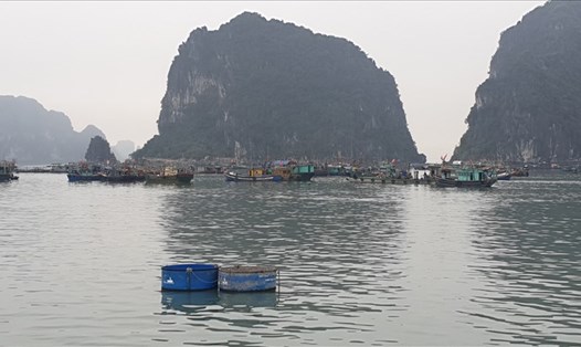 Sáng nay -5.3 vẫn còn nhiều tàu, thuyền neo đậu tại khu vực vùng đệm vịnh Hạ Long thuộc phường Bạch Đằng, TP.Hạ Long. Ảnh: Nguyễn Hùng