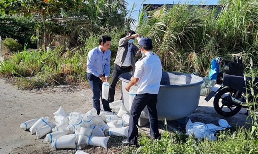 Đoàn kiểm tra tiến hành tiêu hủy con giống thủy sản không có giấy chứng nhận kiểm dịch trên địa bàn huyện Vĩnh Thuận (Kiên Giang). Ảnh: PV