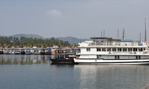 Hàng trăm tàu du lịch vẫn "nằm im" tại Cảng tàu du lich quốc tế Tuần Châu dù vịnh Hạ Long được đón khách trở lại. Ảnh: Nguyễn Hùng