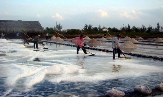 Thu hoạch muối đầu vụ tại tỉnh Bạc Liêu. Ảnh: Nhật Hồ