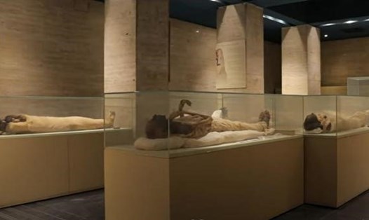 Xác ướp các vị vua và nữ hoàng Ai Cập, có niên đại hơn 3.000 năm, tại Bảo tàng Ai Cập ở Cairo. Ảnh: Experience Egypt.