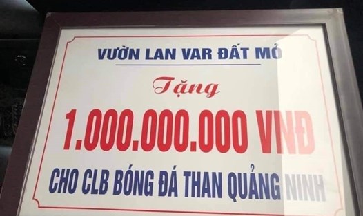 Một chủ vườn lan Var hỗ trợ CLB bóng đá Than Quảng Ninh 1 tỉ đồng. Ảnh: CTV