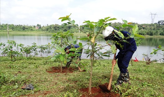 Bộ NNPTNT triển khai đề án trồng 1 tỉ cây xanh từ nay đến hết năm 2025. Ảnh: Hương Quỳnh