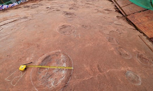 Các nhà khảo cổ đã tìm thấy một số lượng lớn vết chân khủng long tại một địa điểm khai quật ở tỉnh Phúc Kiến, Trung Quốc. Ảnh: Tân Hoa Xã