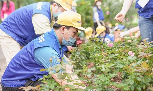 Lãnh đạo và đoàn viên công đoàn Công ty Samsung Thái Nguyên trồng hoa, cải tạo môi trường sống trong ký túc xá. Ảnh: CĐTN