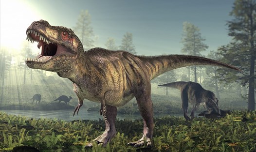 Khủng long bạo chúa hay Tyrannosaurus rex. Ảnh: AFP/Getty.