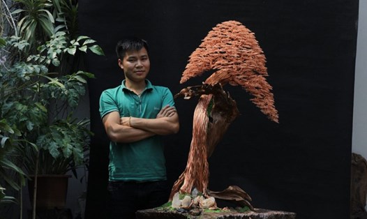 Cây bonsai Việt đã làm trong 28 ngày. Ảnh: NVCC
