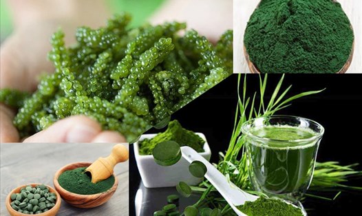 Nhiều người coi tảo xoắn là một siêu thực phẩm do hàm lượng dinh dưỡng tuyệt vời và lợi ích sức khỏe của nó mang lại. Ảnh đồ hoạ: Hữu Thi.