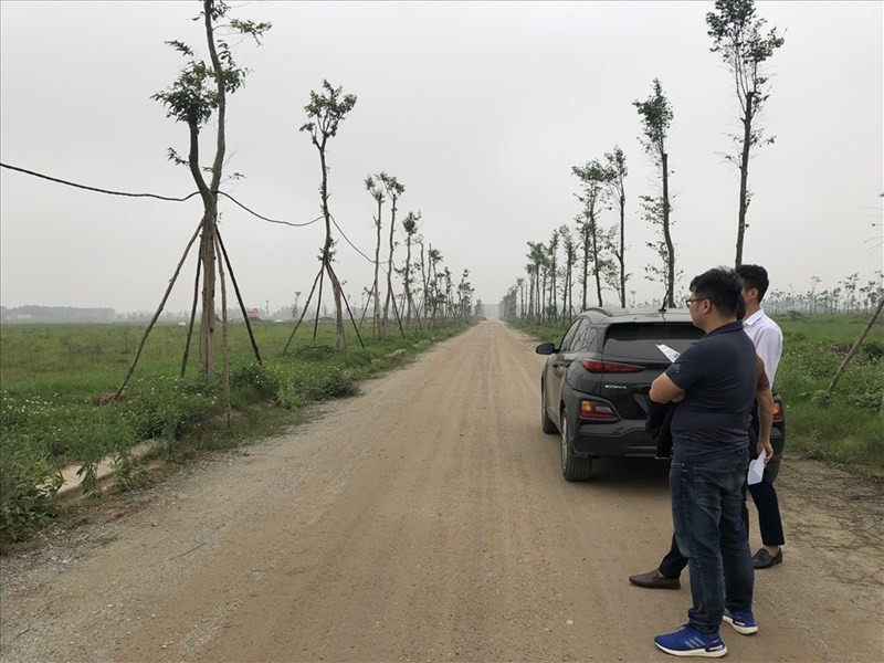 laodong.vn