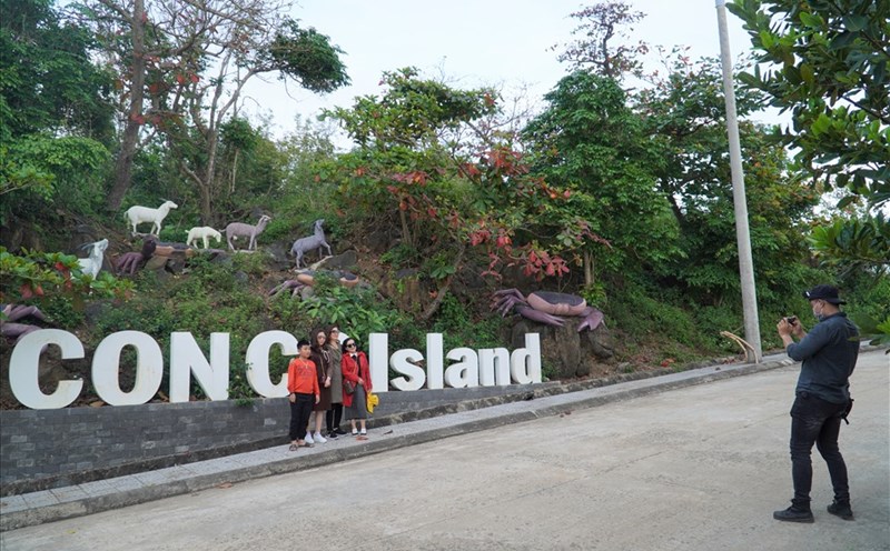 Cồn Cỏ (Quảng Trị) được nhiều du khách chọn làm điểm đến trong mùa du lịch. Ảnh: Minh Thành