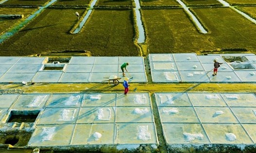 Diêm dân Nghệ An sản xuất trên cánh đồng muối.  Ảnh: Hồ Nhật Thành