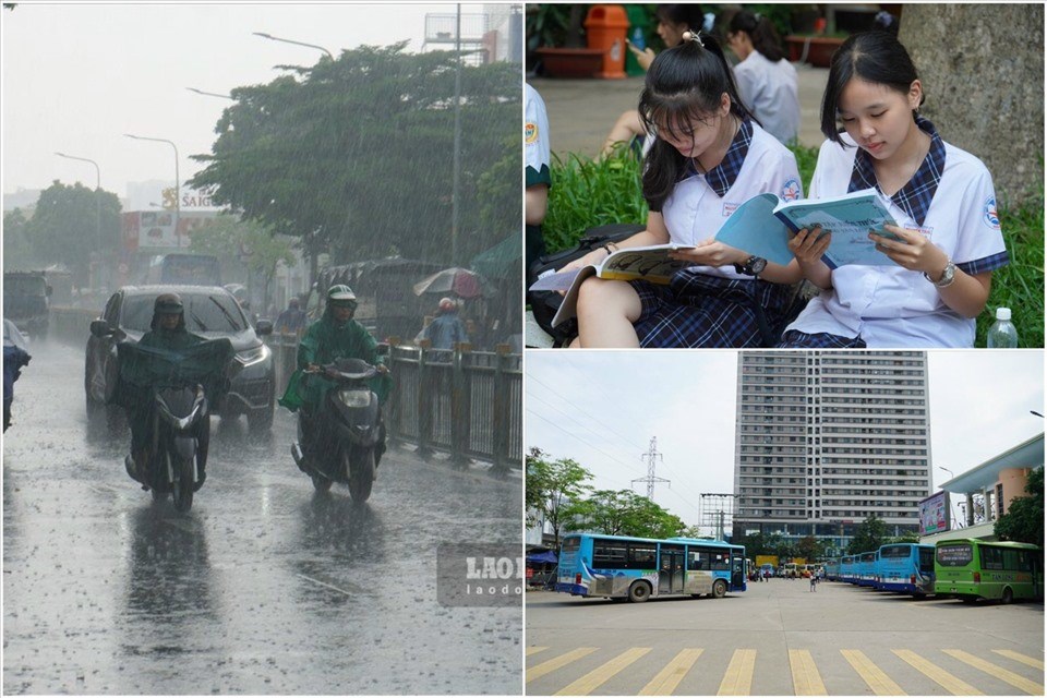 Nhịp sống 24h. Nhịp sống 24h.