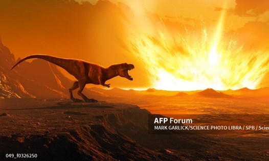 Hình ảnh minh họa một con khủng long bạo chúa T-rex. Ảnh: AFP