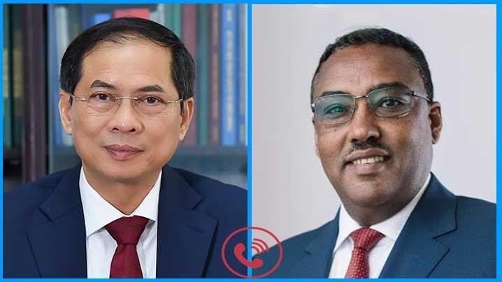 Bộ trưởng Ngoại giao Bùi Thanh Sơn điện đàm với Phó Thủ tướng, Bộ trưởng Ngoại giao Ethiopia Demeke Mekonnen. Ảnh: Bộ Ngoại giao