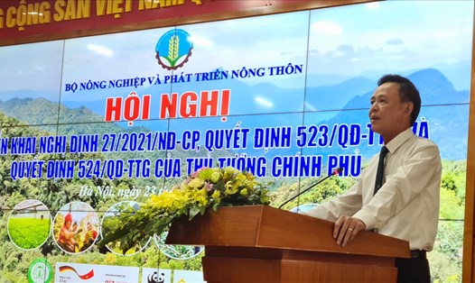 Thứ trưởng Bộ NNPTNT đề nghị triển khai hiệu quả kế hoạch trồng 1 tỉ cây xanh từ 2021-2025. Ảnh: Vũ Long.