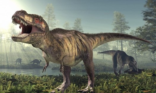 Nhóm các nhà khoa học đã phát hiệu điều bất ngờ về loài khủng long bạo chúa qua các dấu chân hóa thạch của chúng từ 72 triệu năm trước. Ảnh: AFP