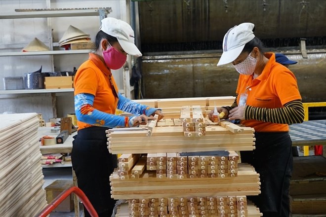 Gỗ tròn xuất khẩu sang Việt Nam chủ yếu từ Châu Phi và nguy cơ rủi ro lớn