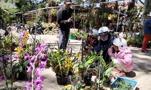 Chợ lan rừng Đà Lạt