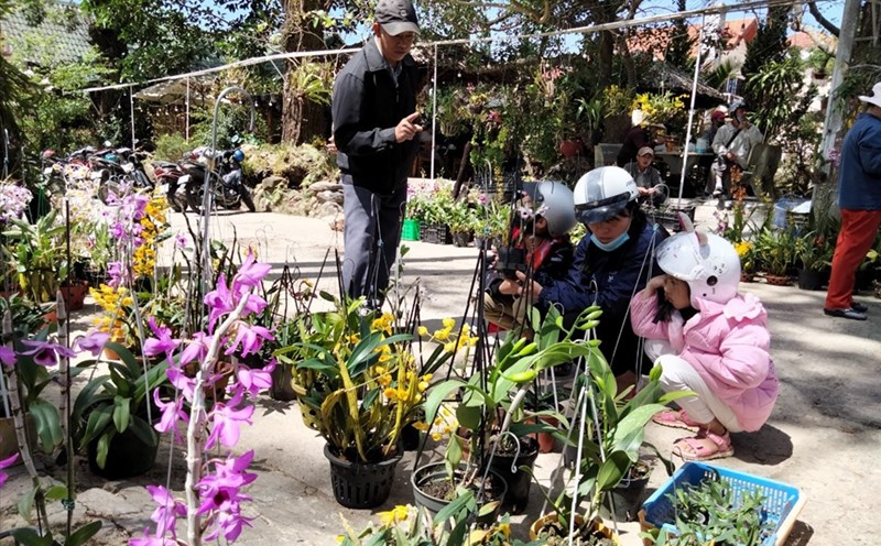 Chợ lan rừng Đà Lạt