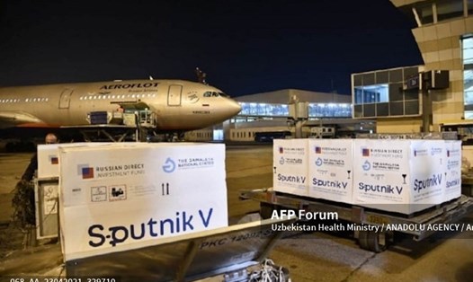 Lô vaccine COVID-19 Sputnik V của Nga đã đến Sân bay Quốc tế Tashkent ở Tashkent, Uzbekistan vào ngày 23.4.2021. Ảnh: AFP