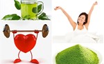 Trà lá bồ công anh 3 Matcha liệu có nhiều lợi ích hơn trà xanh truyền thống?