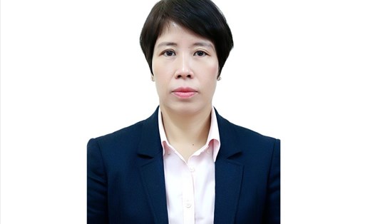 Thứ trưởng Bộ Kế hoạch và Đầu tư Nguyễn Thị Bích Ngọc. Ảnh VGP