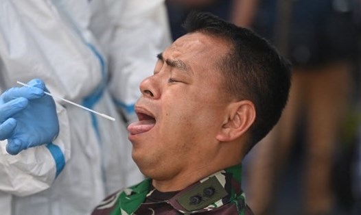 Nhân viên y tế dùng tăm bông lấy mẫu xét nghiệm COVID-19. Ảnh: AFP