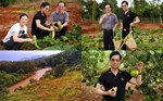 Ngọc Sơn trồng nhiều rau củ trong khu vườn 20.000m2 do fan hâm mộ tặng
