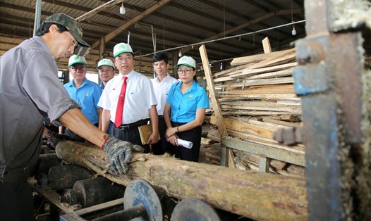 Một sáng kiến áp dụng trong cưa xẻ gỗ tại Công ty TNHH Viên nén năng lượng Cam Lộ đem lại hiệu quả, an toàn. Ảnh: Hưng Thơ