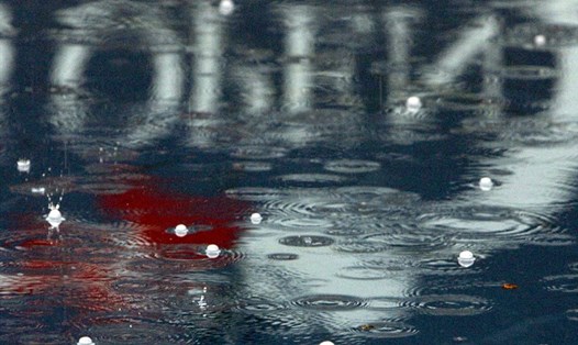Bong bóng hạt mưa rơi xuống nước trên mặt sân. Ảnh: AFP